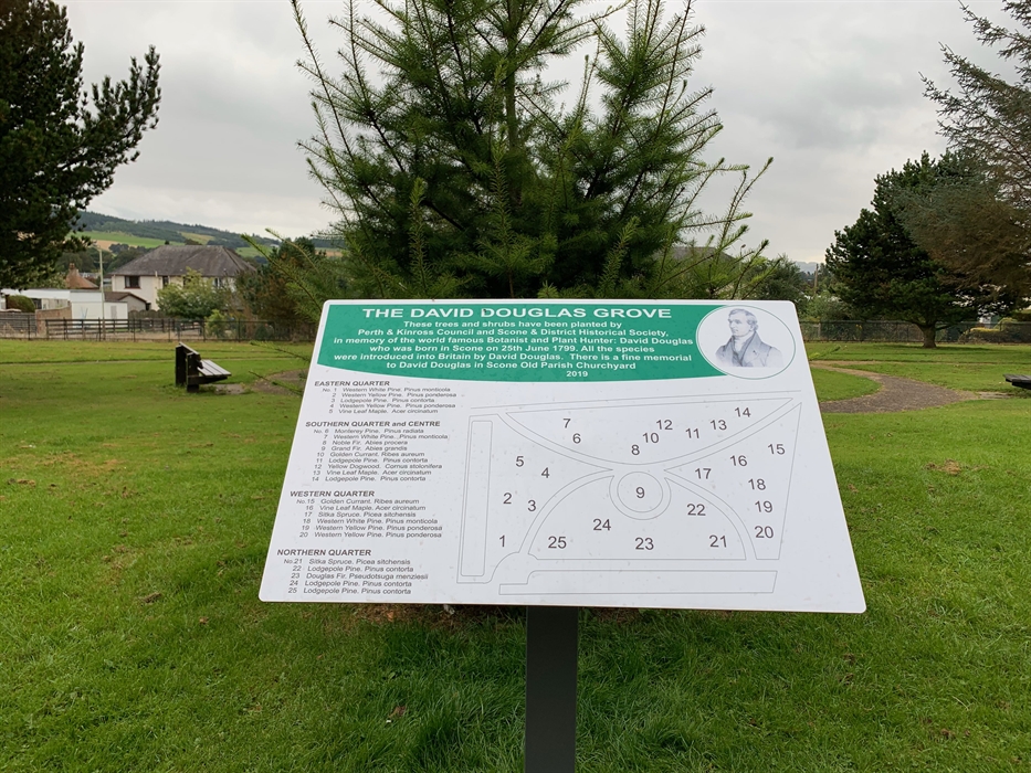 The David Douglas Grove