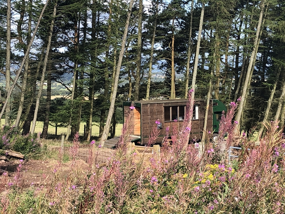 Alexander House Glamping, Auchterarder Yurts VisitScotland