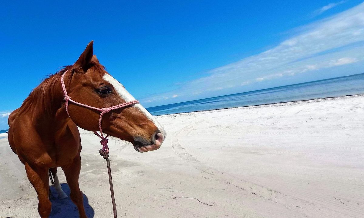 Find Your Perfect Place in the Sand Visit St. Augustine