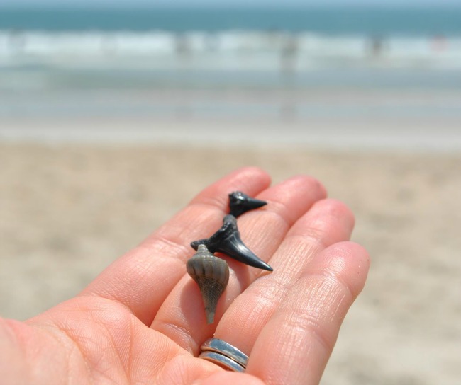 Gettin' Sandy on St. Augustine Beach Visit St. Augustine