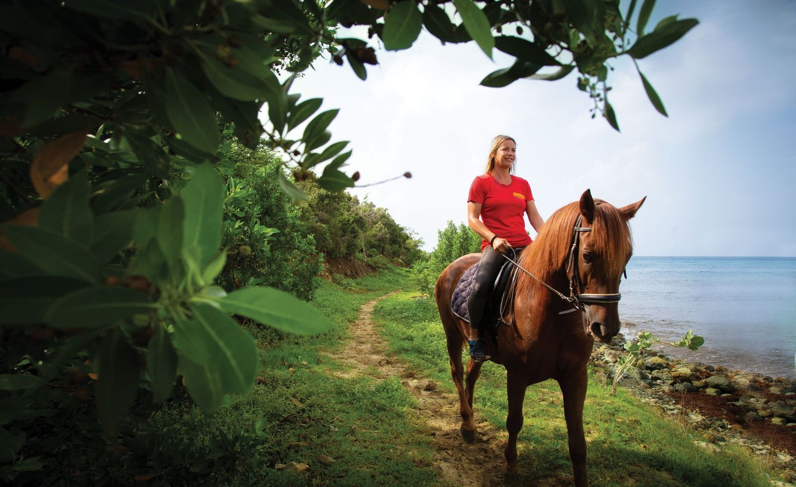 Seaside Nature Park / Lucky Stables St. Maarten / St. Martin