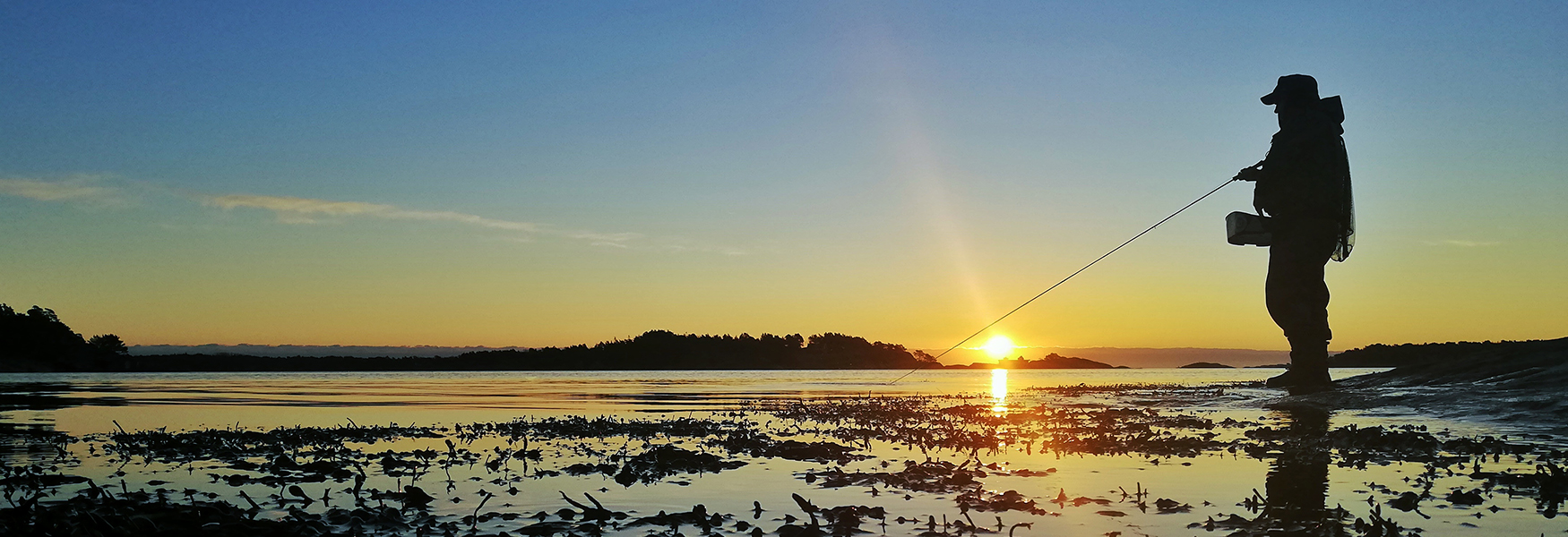 Sea Trout Fishing with guide Kragerø