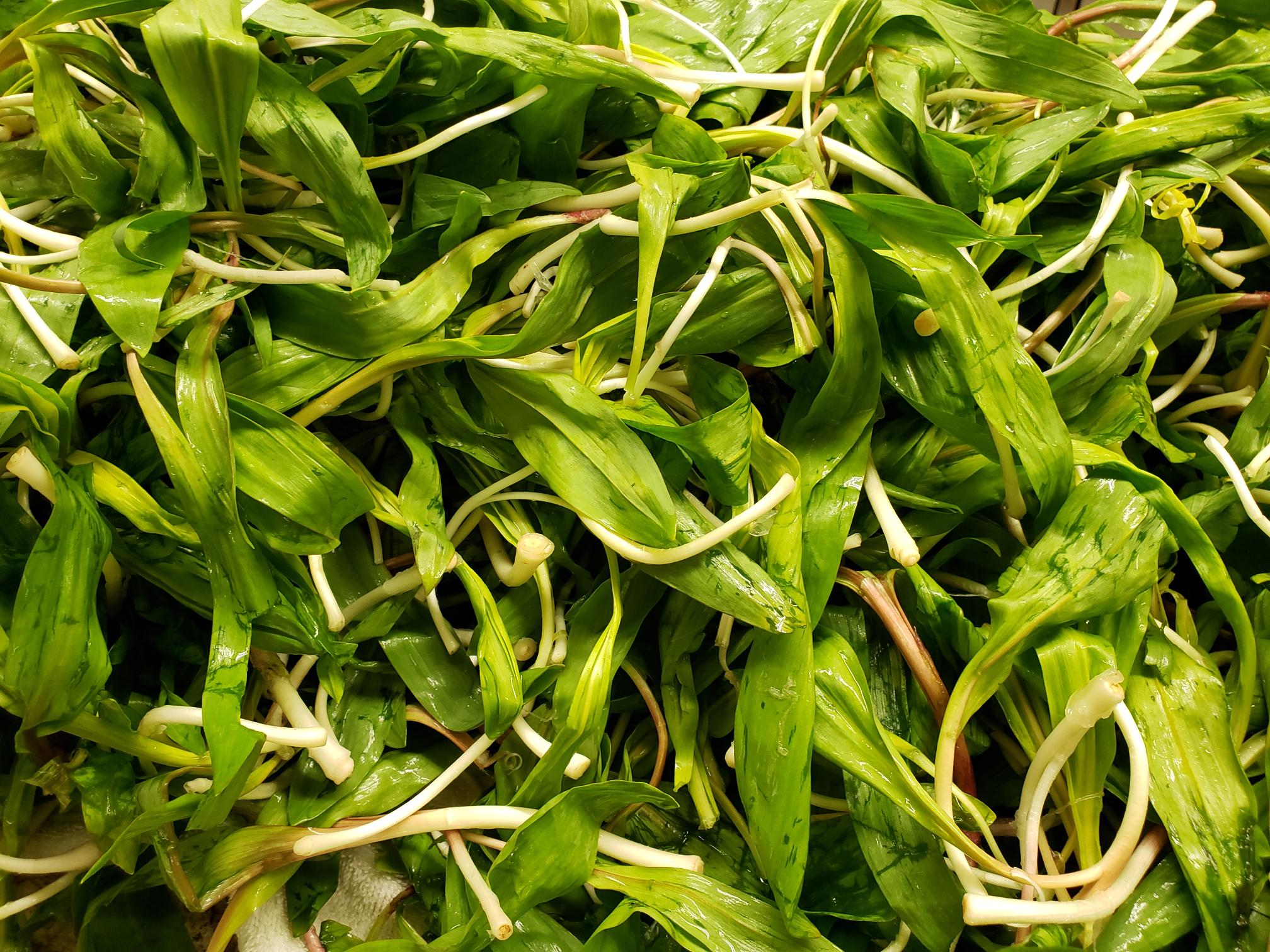 Camp Caesar Ramp Dinner ster County Tourism