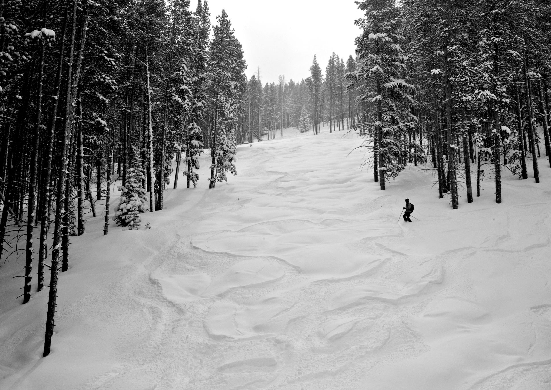 Lodging in Winter Park, Colorado Book Direct with Us and Save!