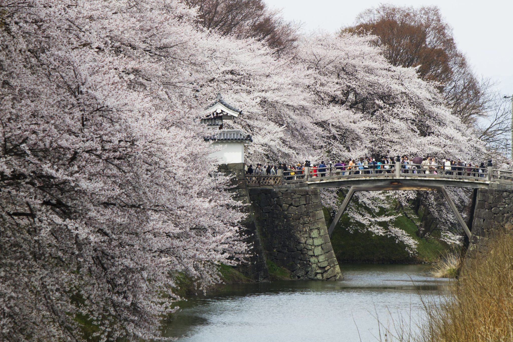 霞城公園 VISIT YAMAGATA