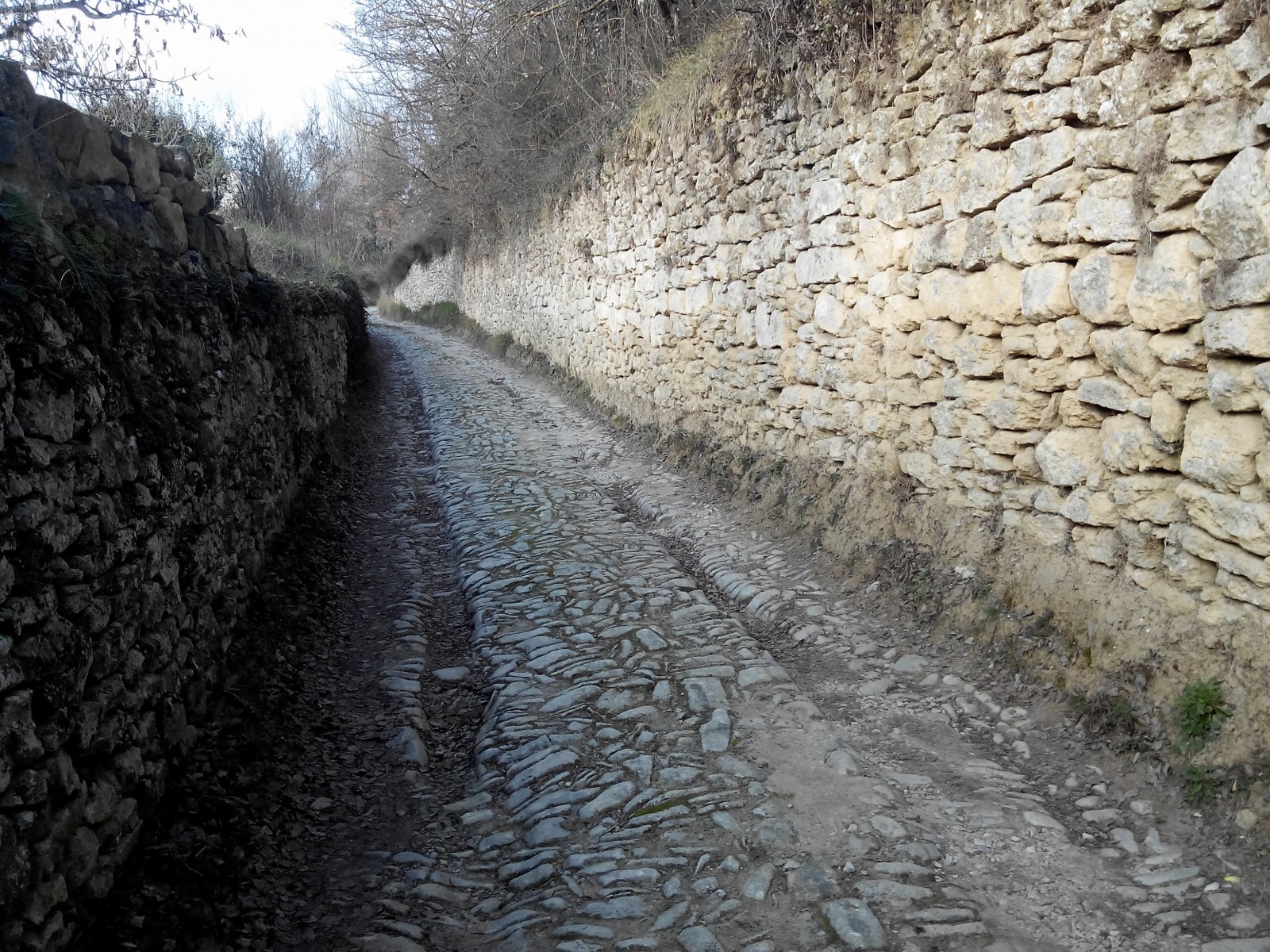 Photo Chemin caladé
