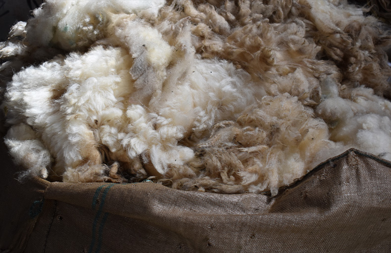 Sit Down with Oliver Henry, Shetland Wool Broker Vispring