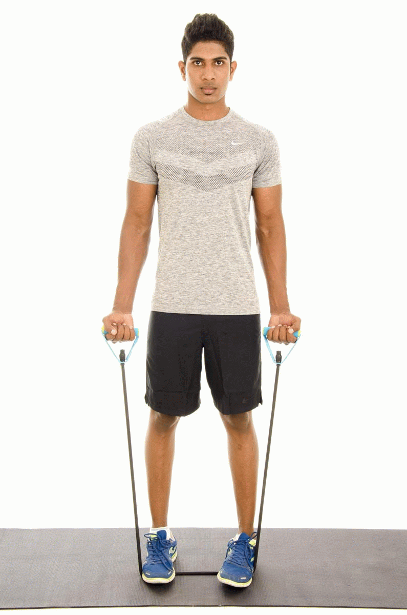 Resistance Band Bicep Curls