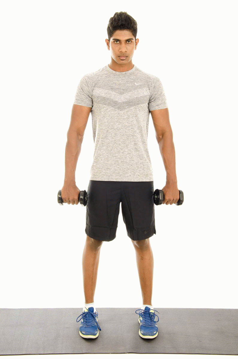 Reverse Bicep Curl with Dumbbell Vissco Healthcare Private Limited.