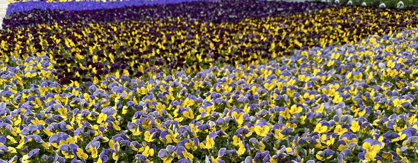 Visser Greenhouses Manhattan, MT