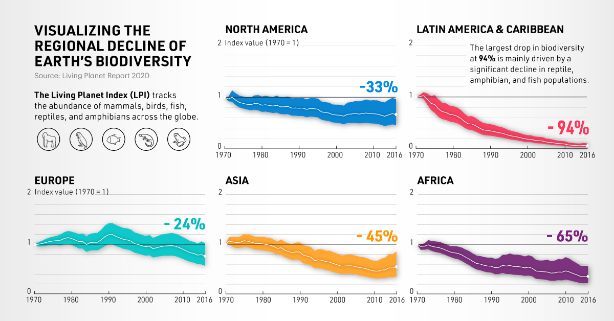 On the Decline A Look at Earth’s Biodiversity Loss, By Region