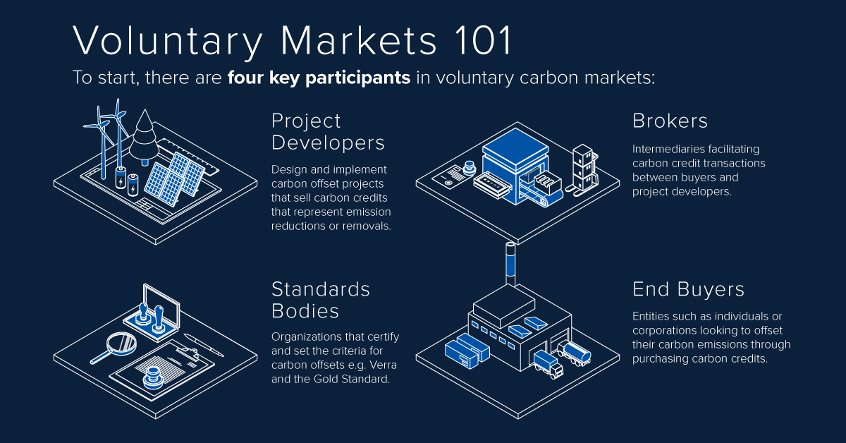 A Complete Visual Guide to Carbon Markets