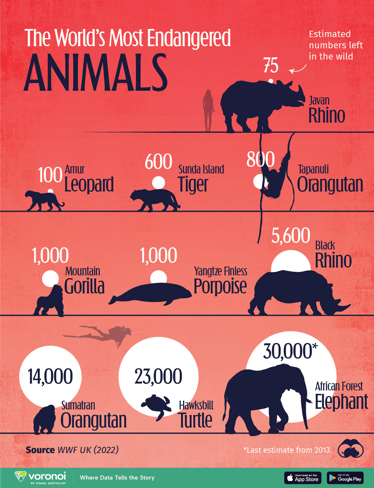 The Crisis of Animals Heading for Extinction