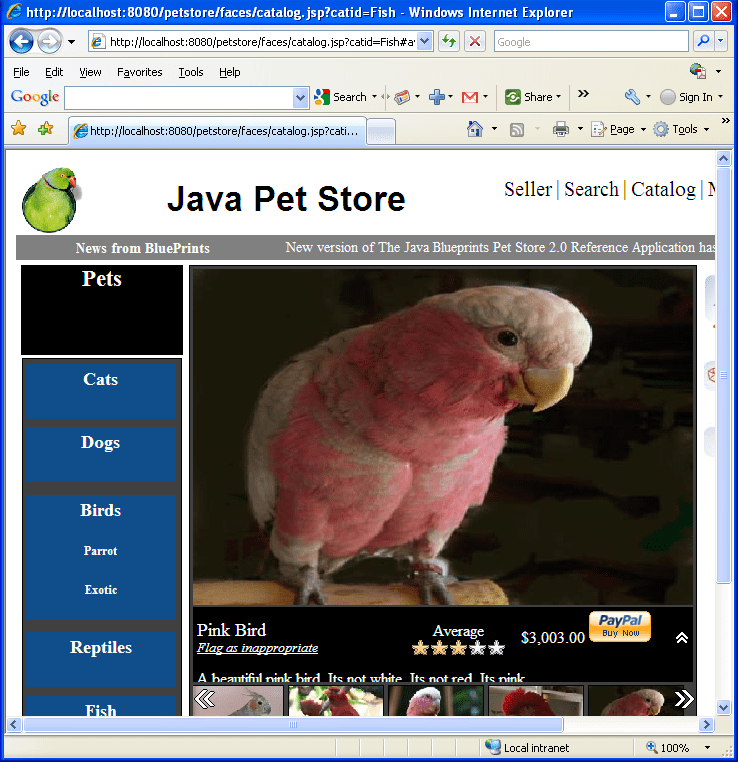 Well, another cute exotic bird found in Java Pet Store demo example