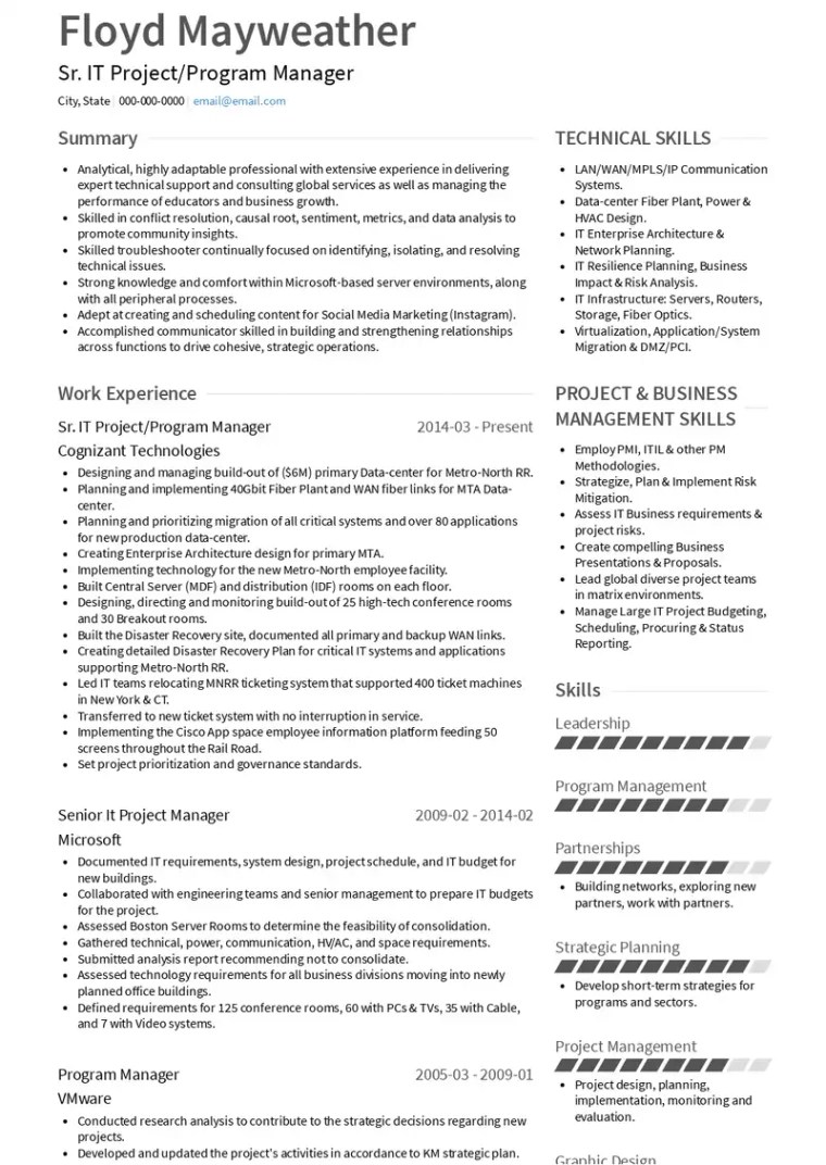 3 Program Manager Resume Examples and Templates