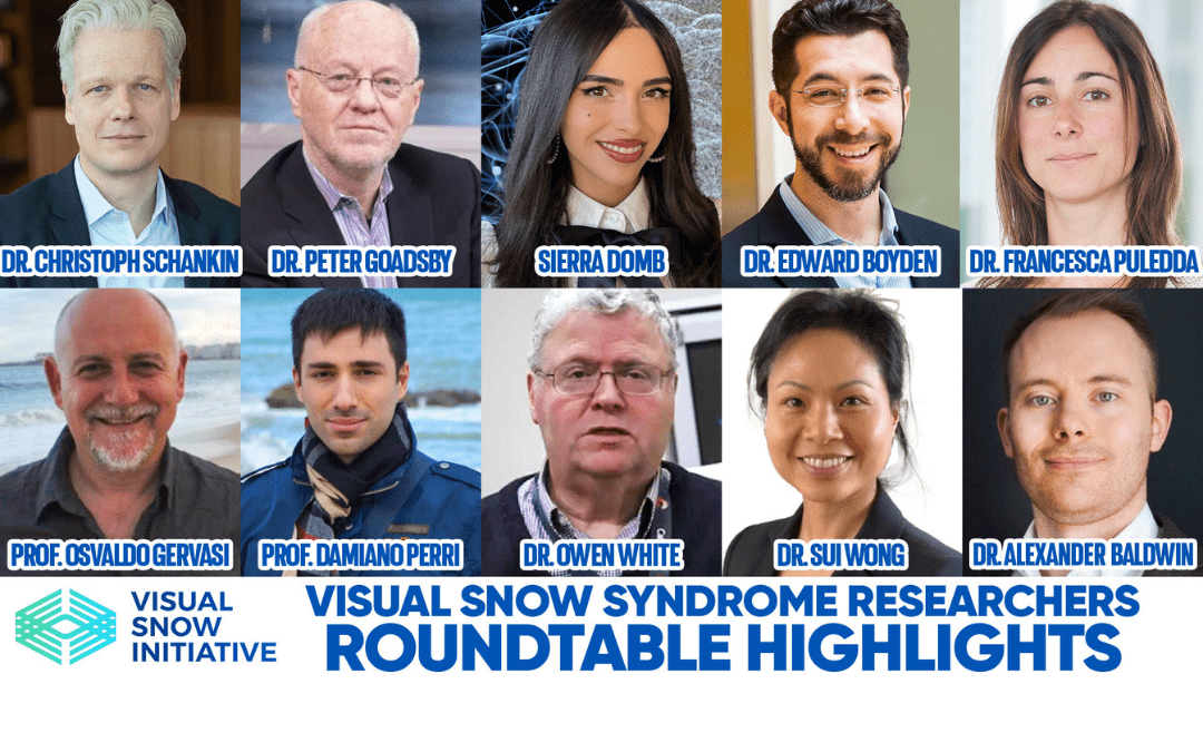 Visual Snow Initiative Roundtable Global Visual Snow Syndrome Experts