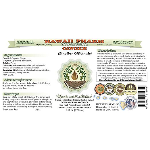 Ginger Liquid Extract VitaFountain