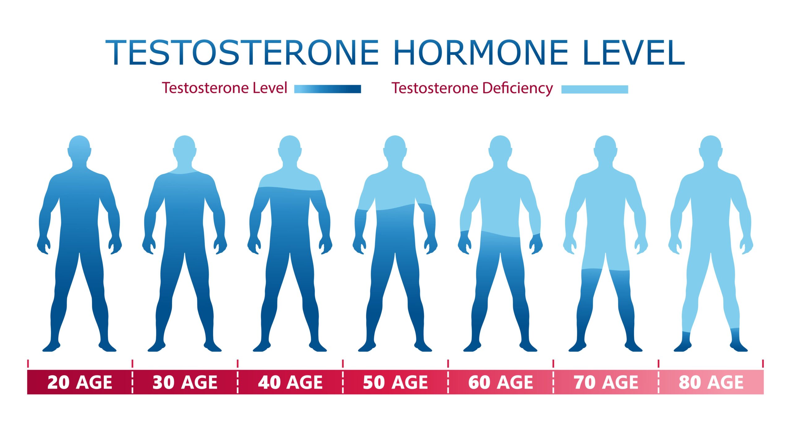 Testosterone Levels in Men by Age Normal Levels, Signs of High and Low T