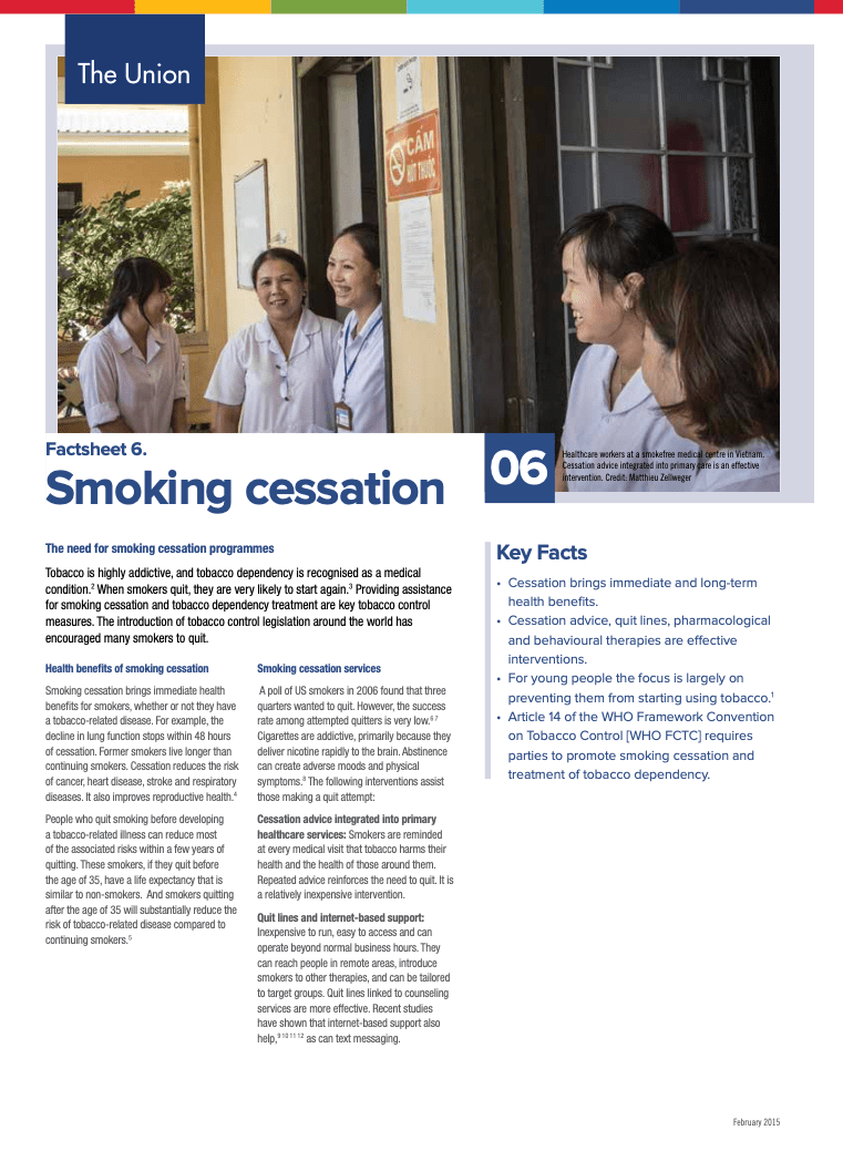 Factsheet 6. Smoking Cessation Vital Strategies