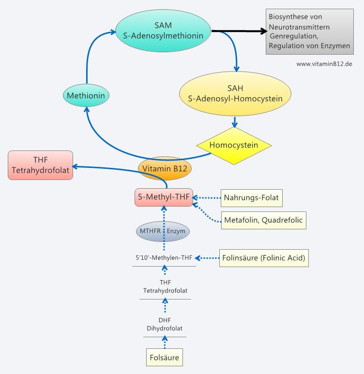 Witamina Blog Vitamin D Und B12 Zusammen Einnehmen