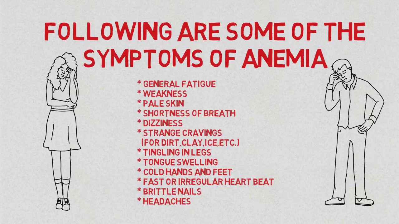 What causes anemia? Vita Pharmed SA. Switzerland