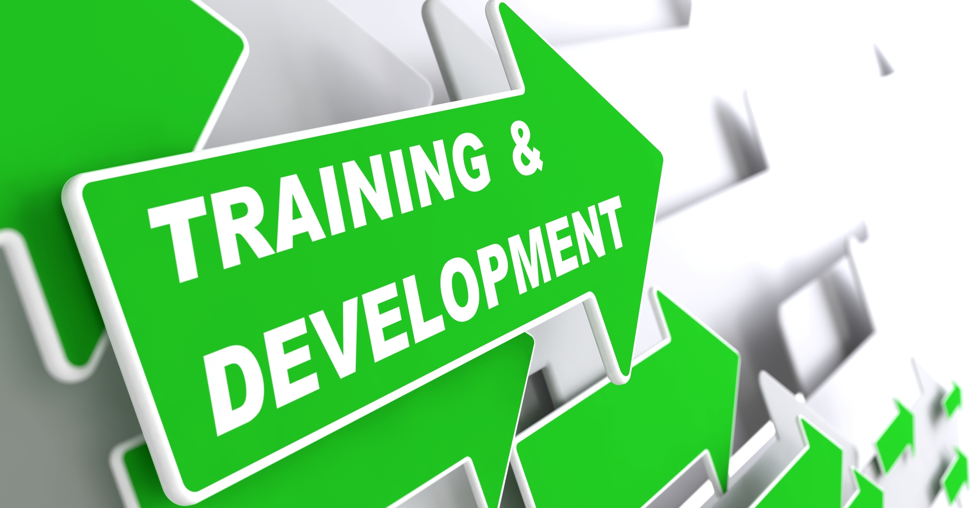 Training to Success 7 Thoughts Vitec Inc.