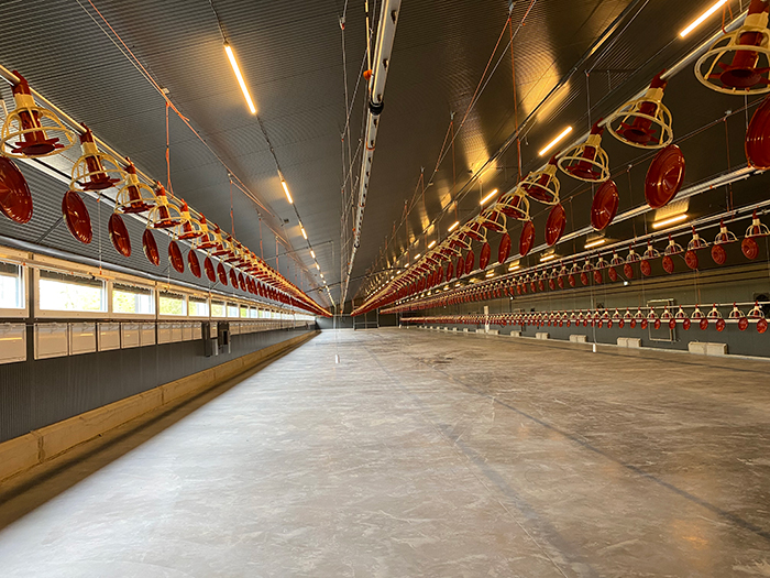 Inauguration d’un bâtiment poulets standards neuf au cœur du Gers