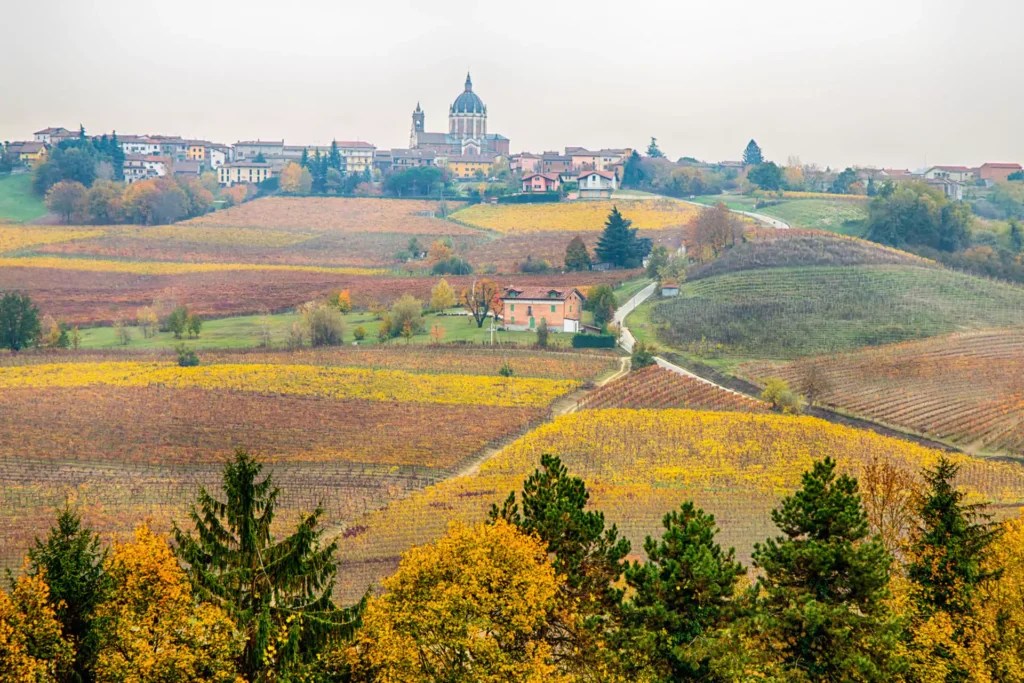 “Vineyard Living" Discovering Piedmont's Hidden Gems Through our