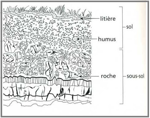 La Transformation De La Matiere Par Les Etres Vivants Cours Svt