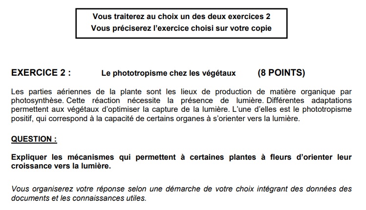 Devoir Commun Histoire Géographie 3ème 2021
