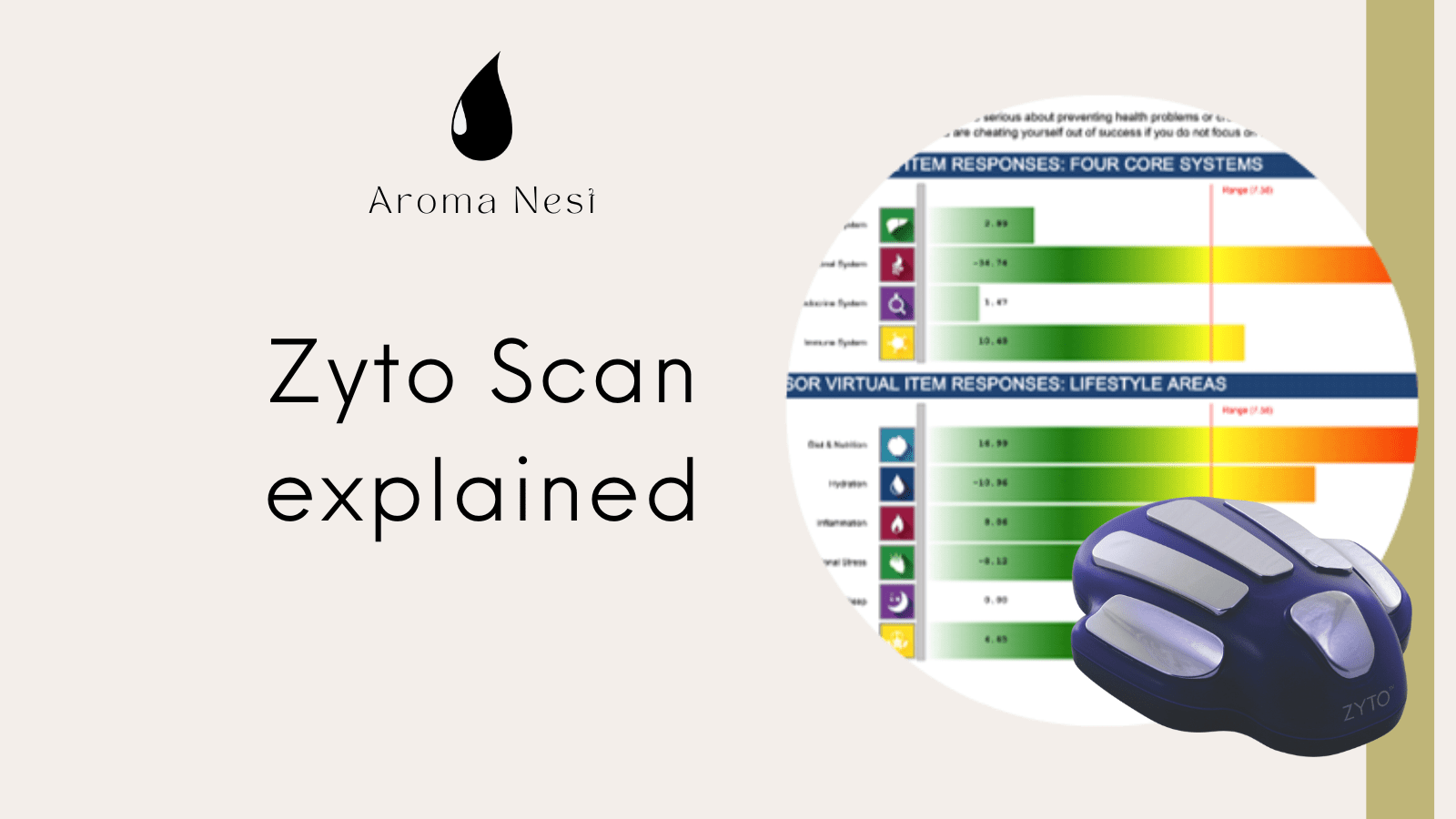 ZYTO scan explanations