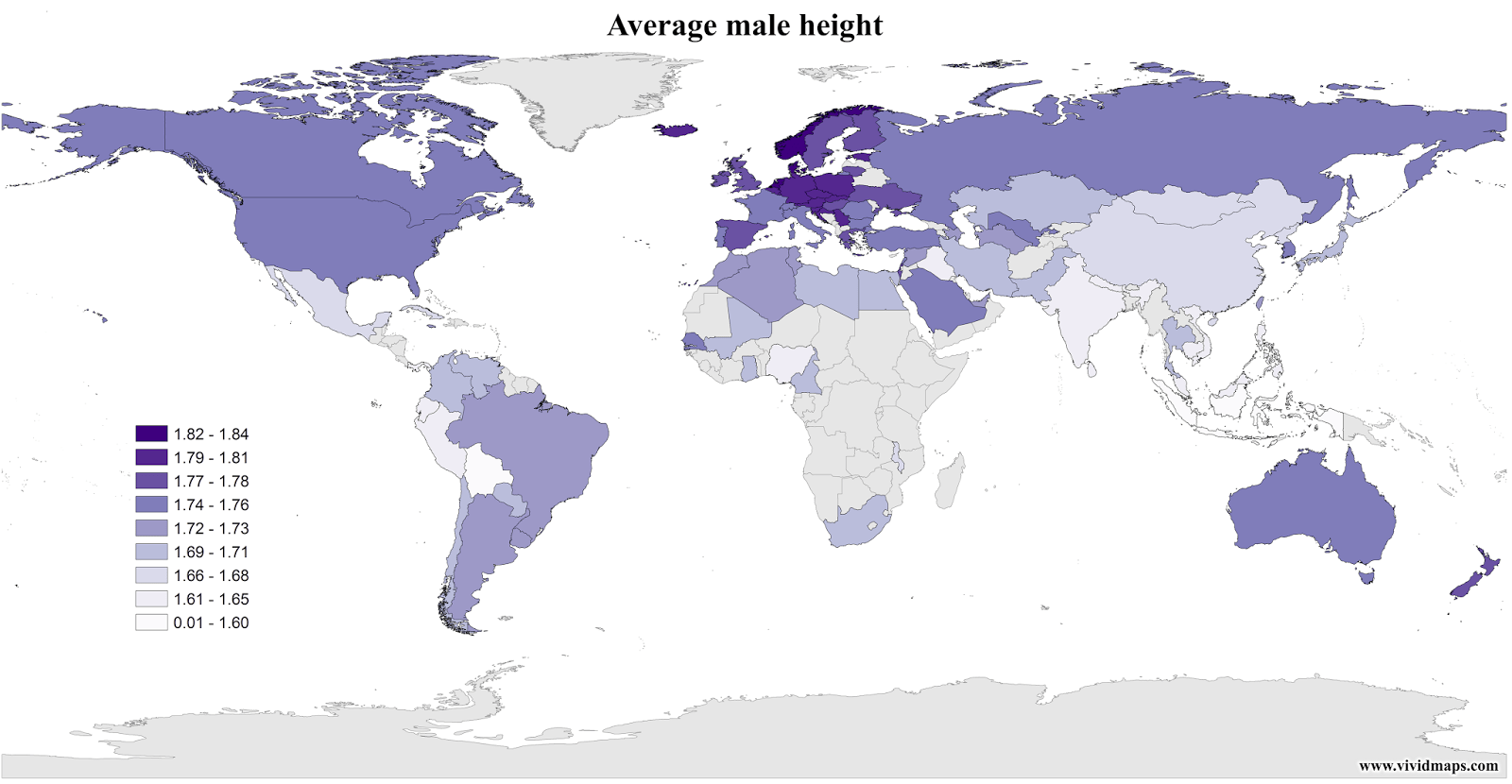 Average male and female height Vivid Maps