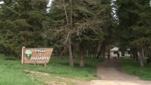 Pylli i fazanëve tërheq vizitorë, destinacioni turistik vetëm 13 km larg Korçës
