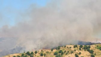 FOTO/ Zjarre edhe në Pogradec, flakët pranë varrezave të fshatit Guras