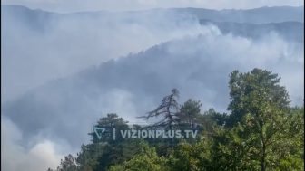 Dyshohen si të qëllimta, katër vatra zjarri të reja në pyllin e Bodes Dyshohen si të qëllimta, katër vatra zjarri të reja në pyllin e Bodes
