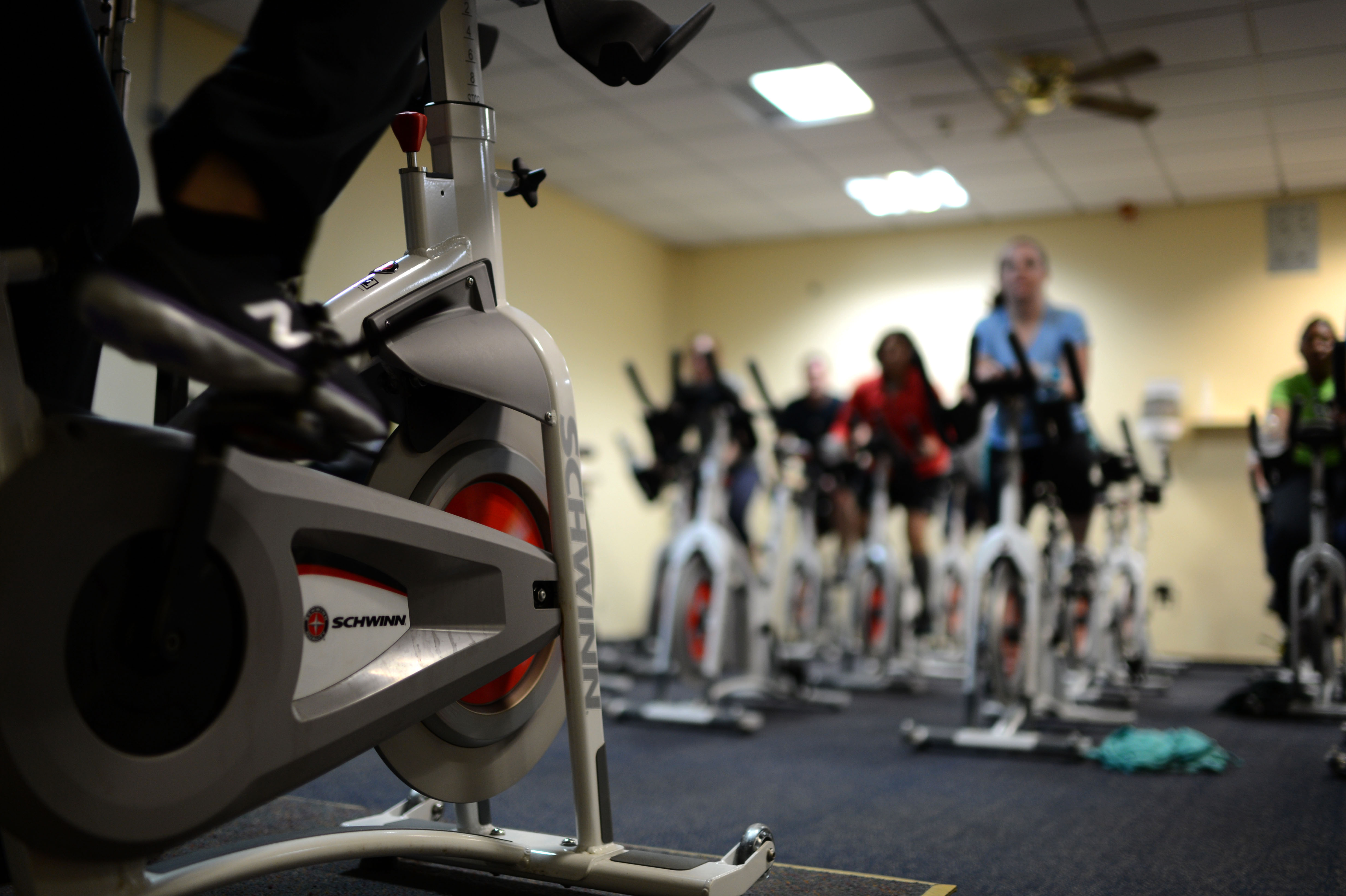 Gym Equipment & Sports Apparel Supply Chain Services