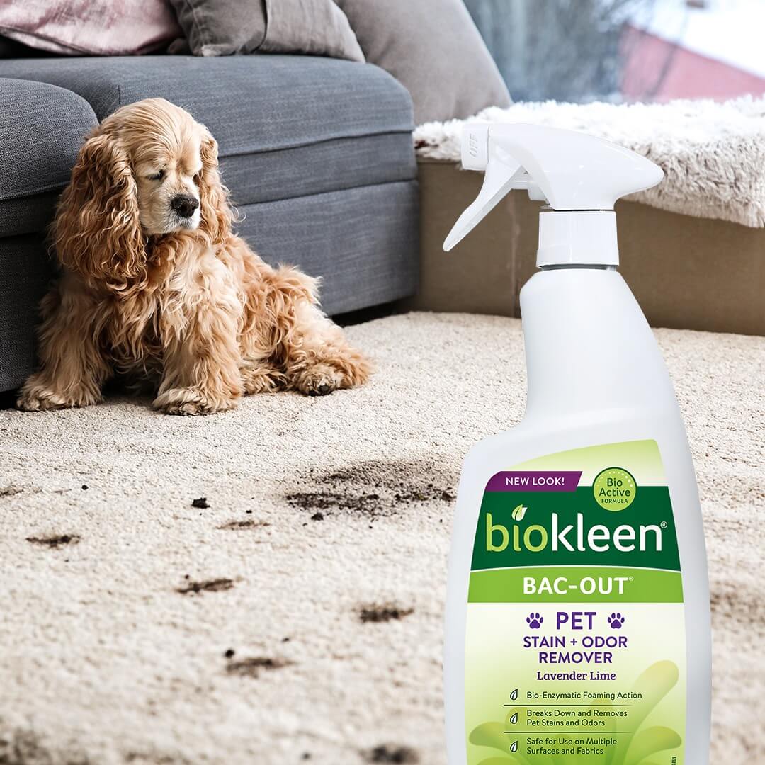 Biokleen If It's Vegan, It's On Vkind!