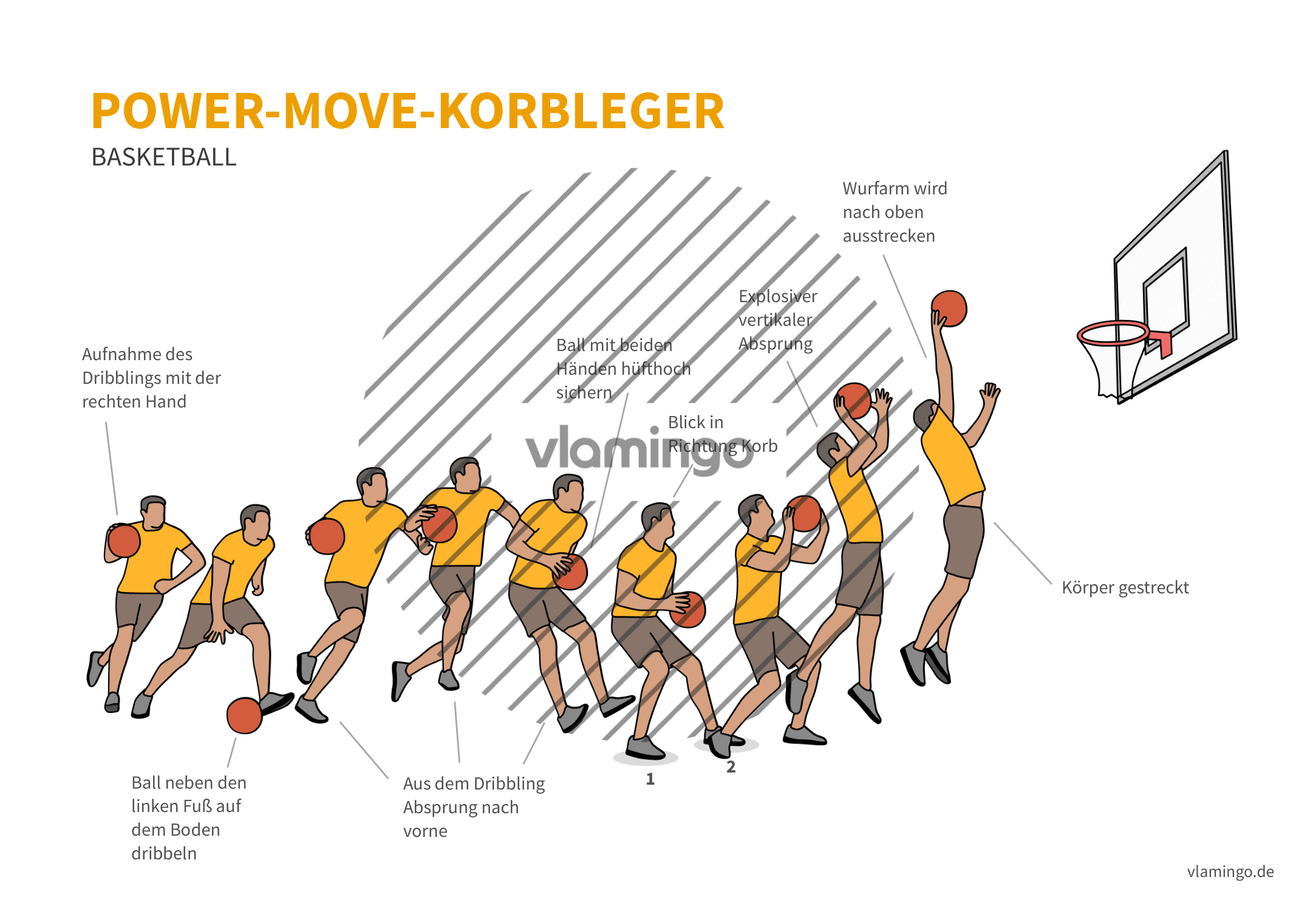 Korbleger (Basketball) Bewegungsbeschreibung & Technikanalyse
