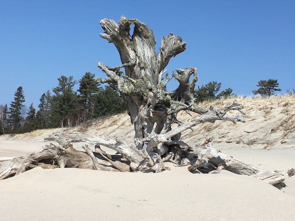 Good morning, Sault Ste. Marie! Sault Ste. Marie News