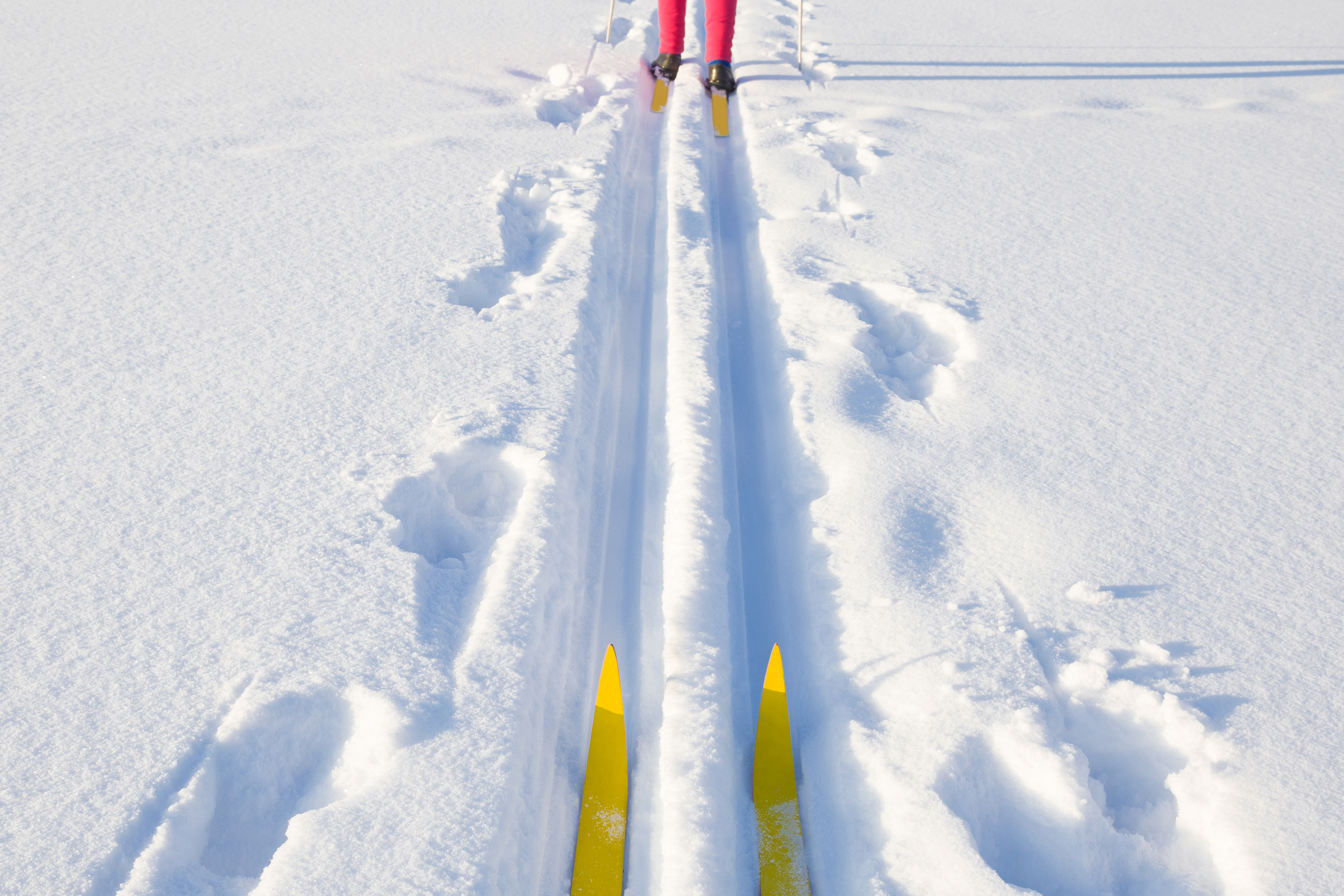 Need new skis? Swap runs this weekend at Highlands Nordic Collingwood
