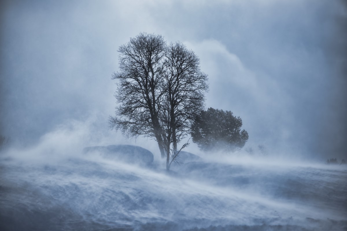 Blizzard warning in effect for the Sault and area - Sault Ste. Marie News