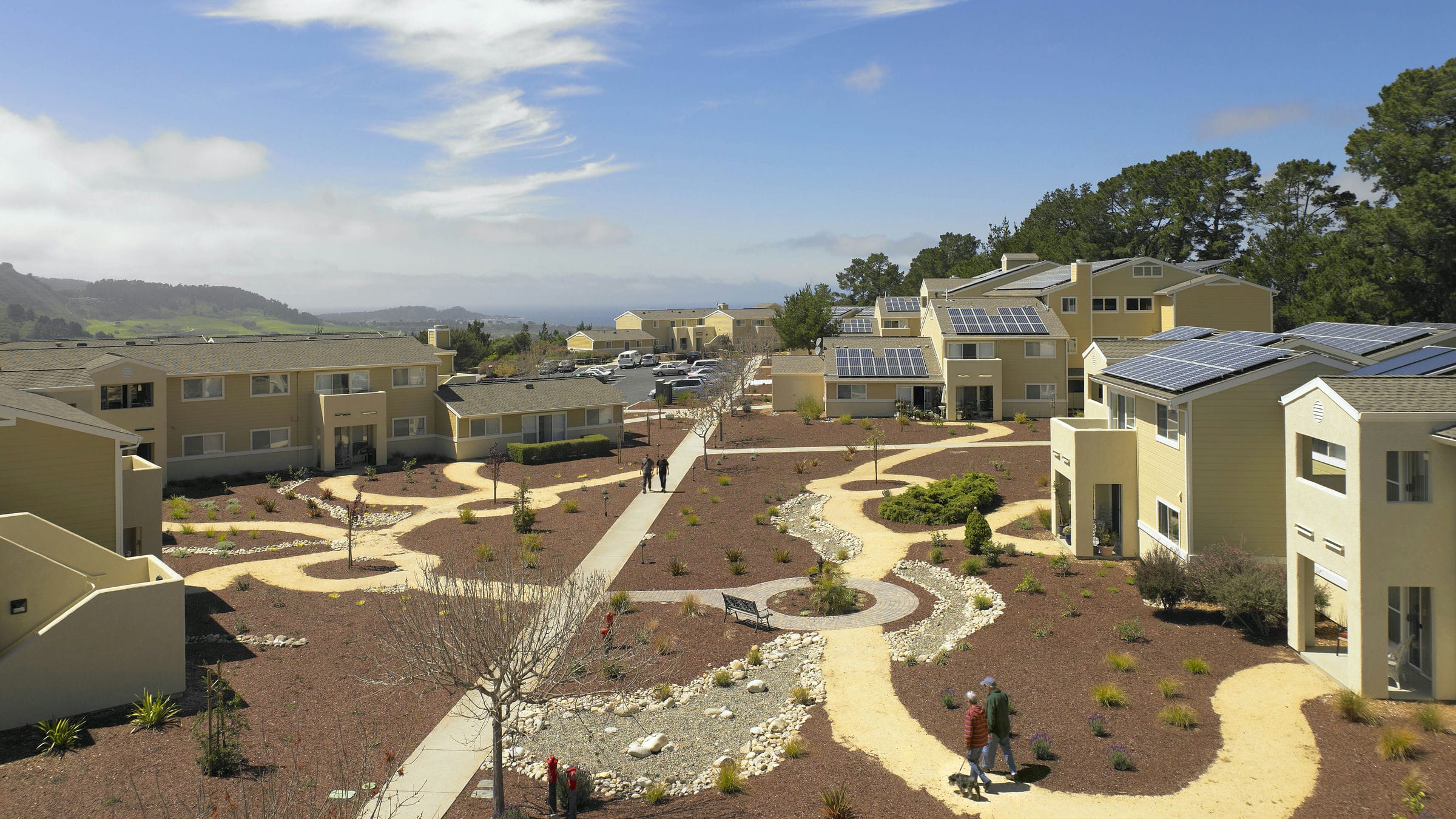 Pacific Meadows Van Meter Williams Pollack LLP