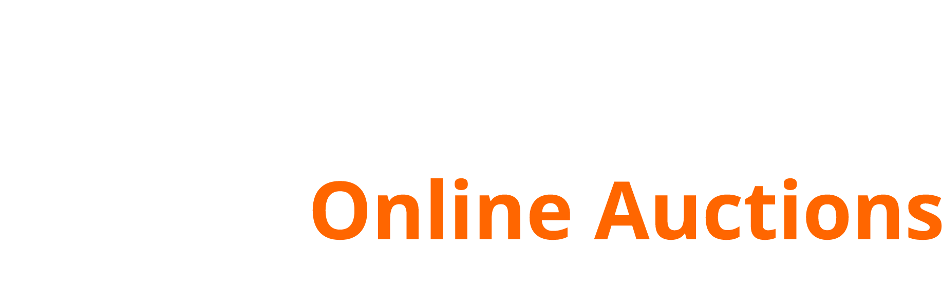 VNM Auctions