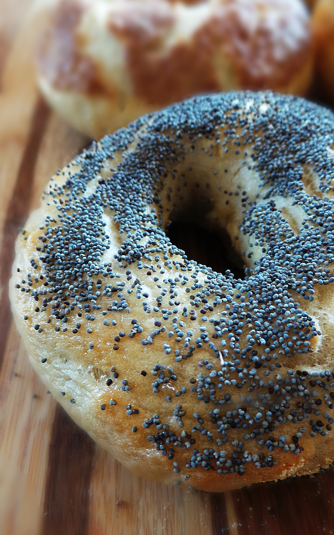 New YorkStyle Bagels