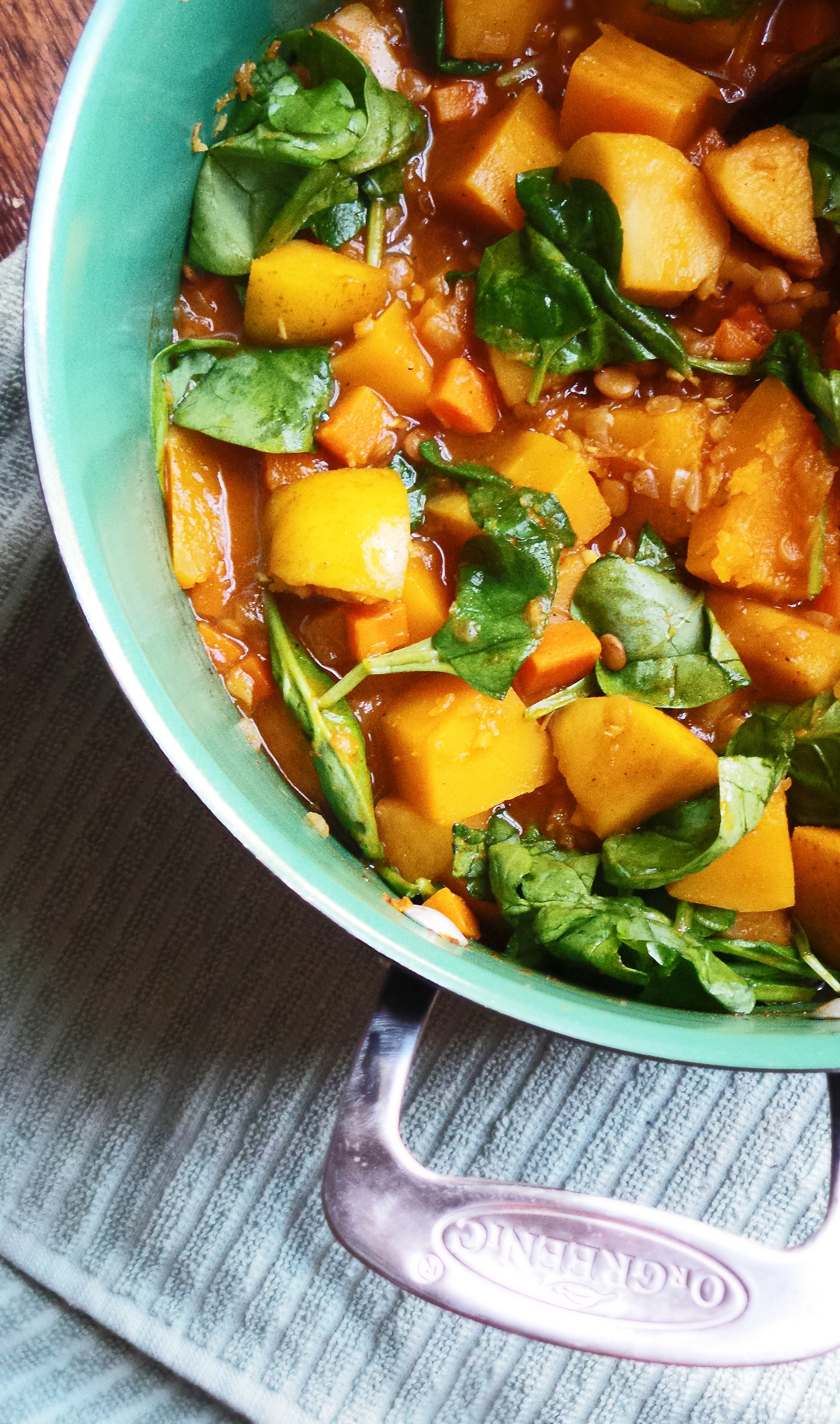 Curried Butternut Squash & Lentil Stew