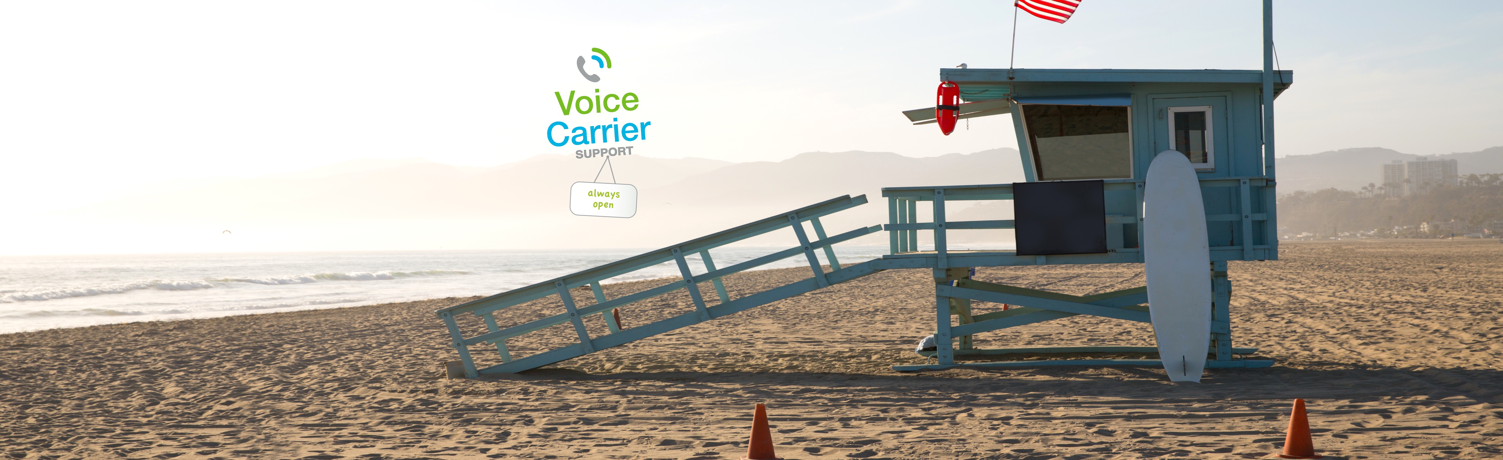 Voice Carrier Business Phone Service Support