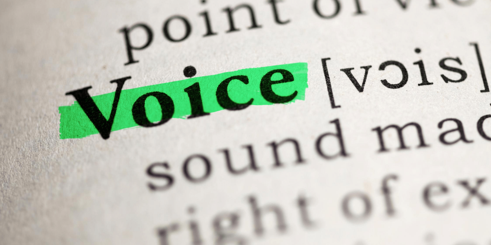 New Voice or an Unheard Voice? Voicing Education