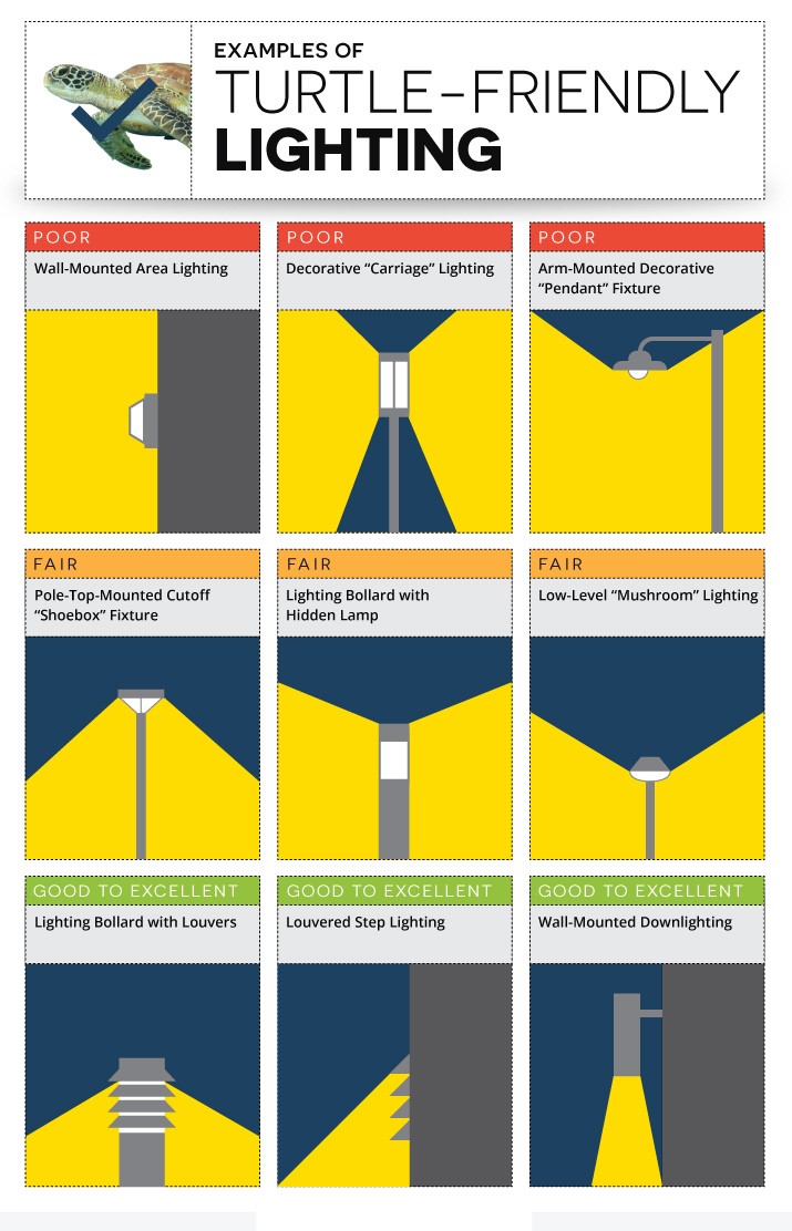 Turtle Safe Lighting Fixtures and Best Practices