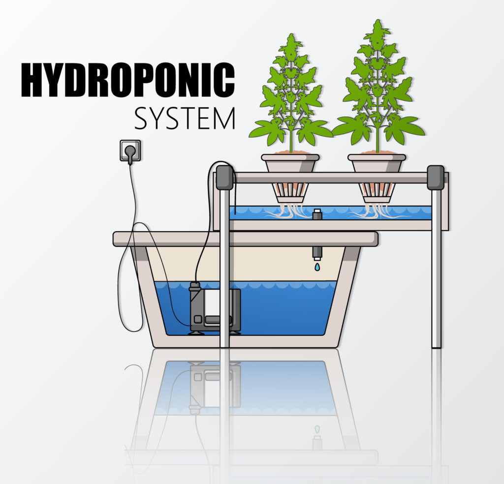 Hydroponic vs. Soil Growing Methods VOLT® Grow
