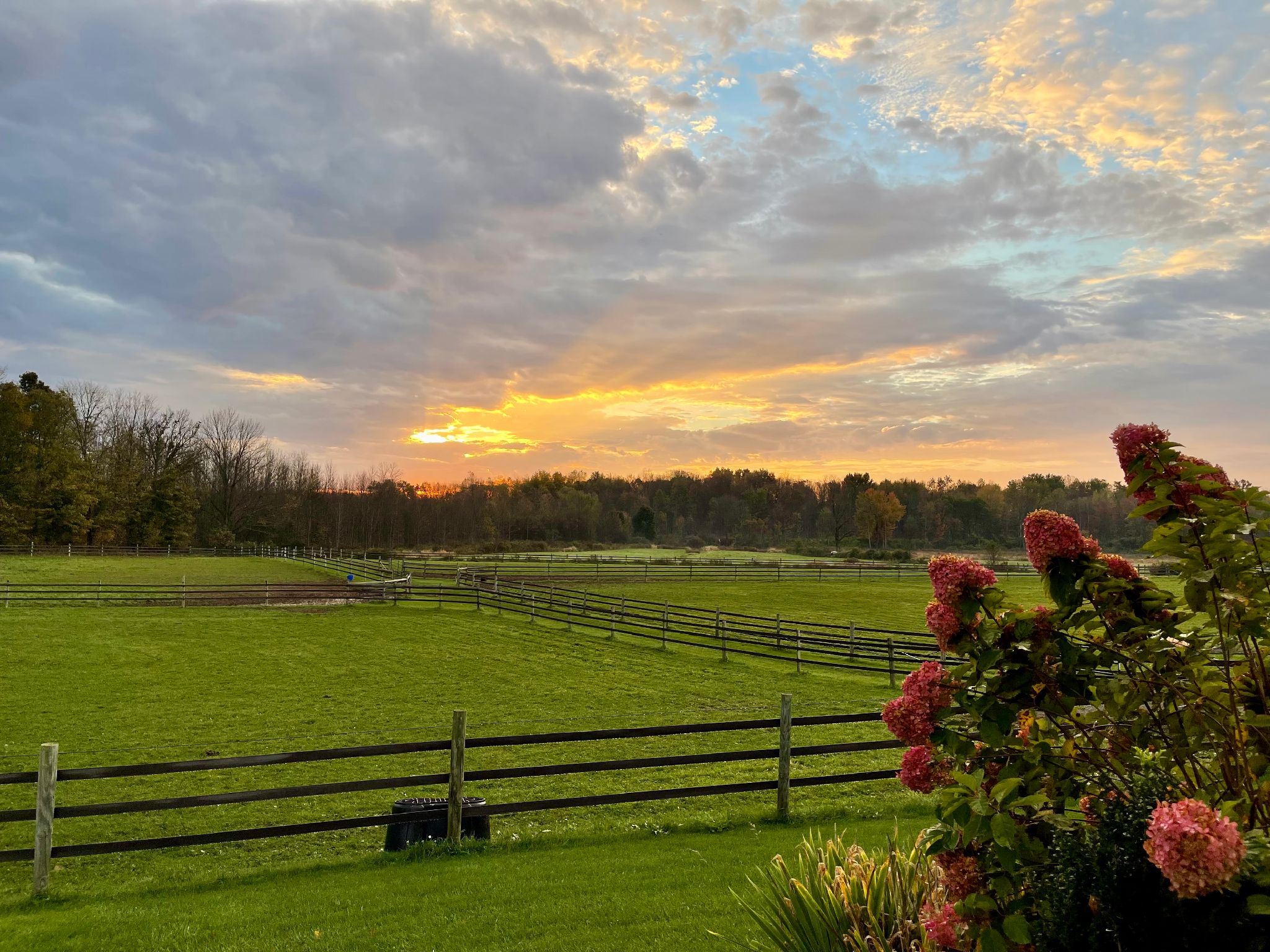 News an Blog Articles from our experienced trainers and staff